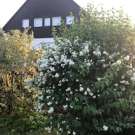 Weserberglandblick Apartment *