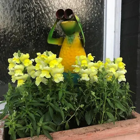 Weserberglandblick האמלן